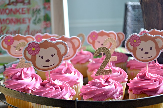Girl Monkey Birthday Party
